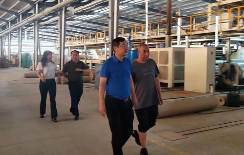 杨建敏到峨山县雄丰纸制品厂走访调研
