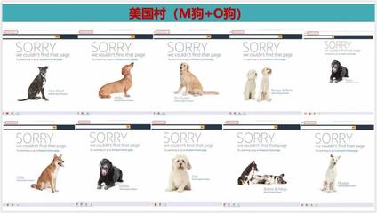 糟心!500个链接侵权变狗!卖家亲自下场开撕黑心代工厂!