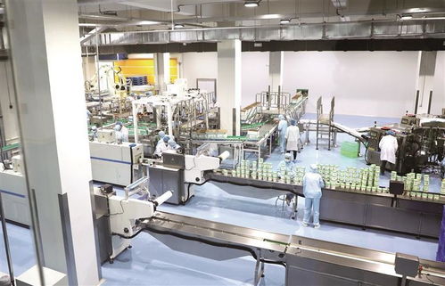 创建兰州牛肉面 超级工厂 百城万店